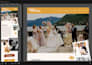 customize showit template, redesign showit, build showit website, update showit